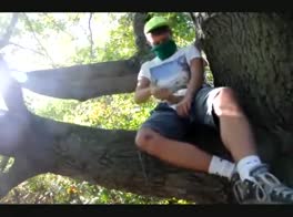 Toby in a tree